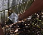 Planta Pastor con fugas y vecinos sin agua