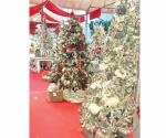 Alertan por instalación de los pinos navideños