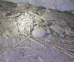 Hallan granada de fragmentación en Las Fuentes