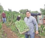 Siembra y comparte hortalizas a los vecinos