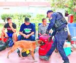 Vigilan perros policía la central de autobuses