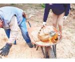 Habilitan albergue para reptiles por frío