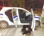 Chocan a taxistas