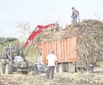 Sufre el sector cañero extorsiones y violencia