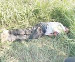 Abaten a pistolero en persecución