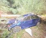 Causa accidente un caballo suelto