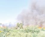 Sofocan 15 Incendios