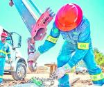 Se desploman las utilidades de CFE 