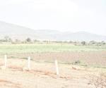 Innovan al sembrar y dan vida a región