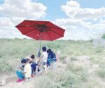 Persiste semana de extremo calor