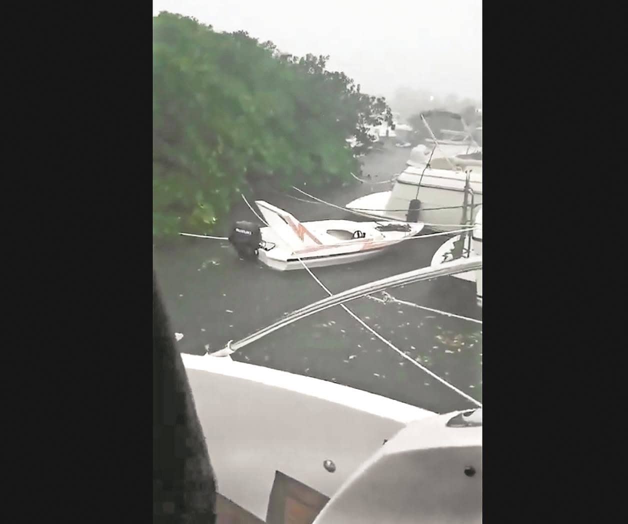 Narra capitán refugio en zona de manglares