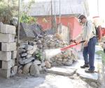 Dengue podría rebasar capacidad de hospitales