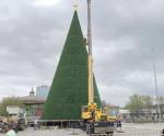 Reprueban reynosenses costo de pino navideño