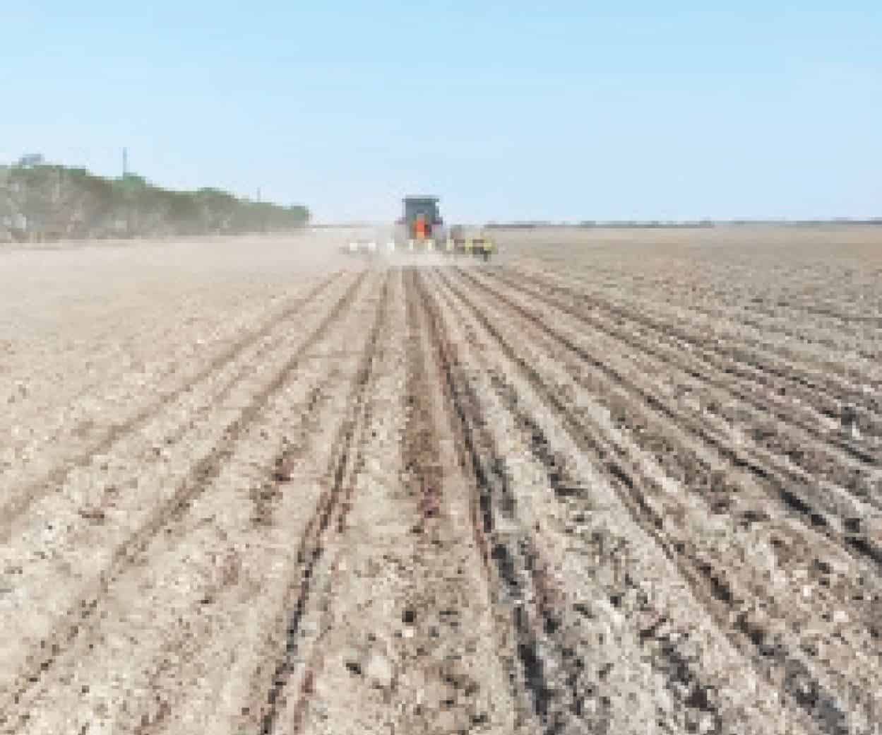 Falta agua al campo