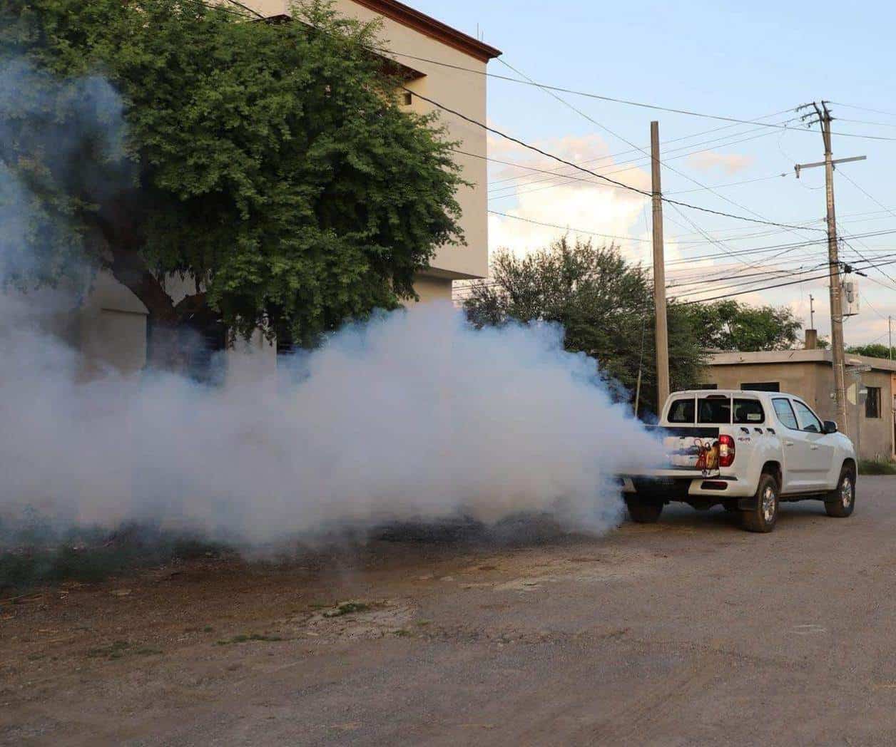 Arman brigadas contra el dengue en Tampico