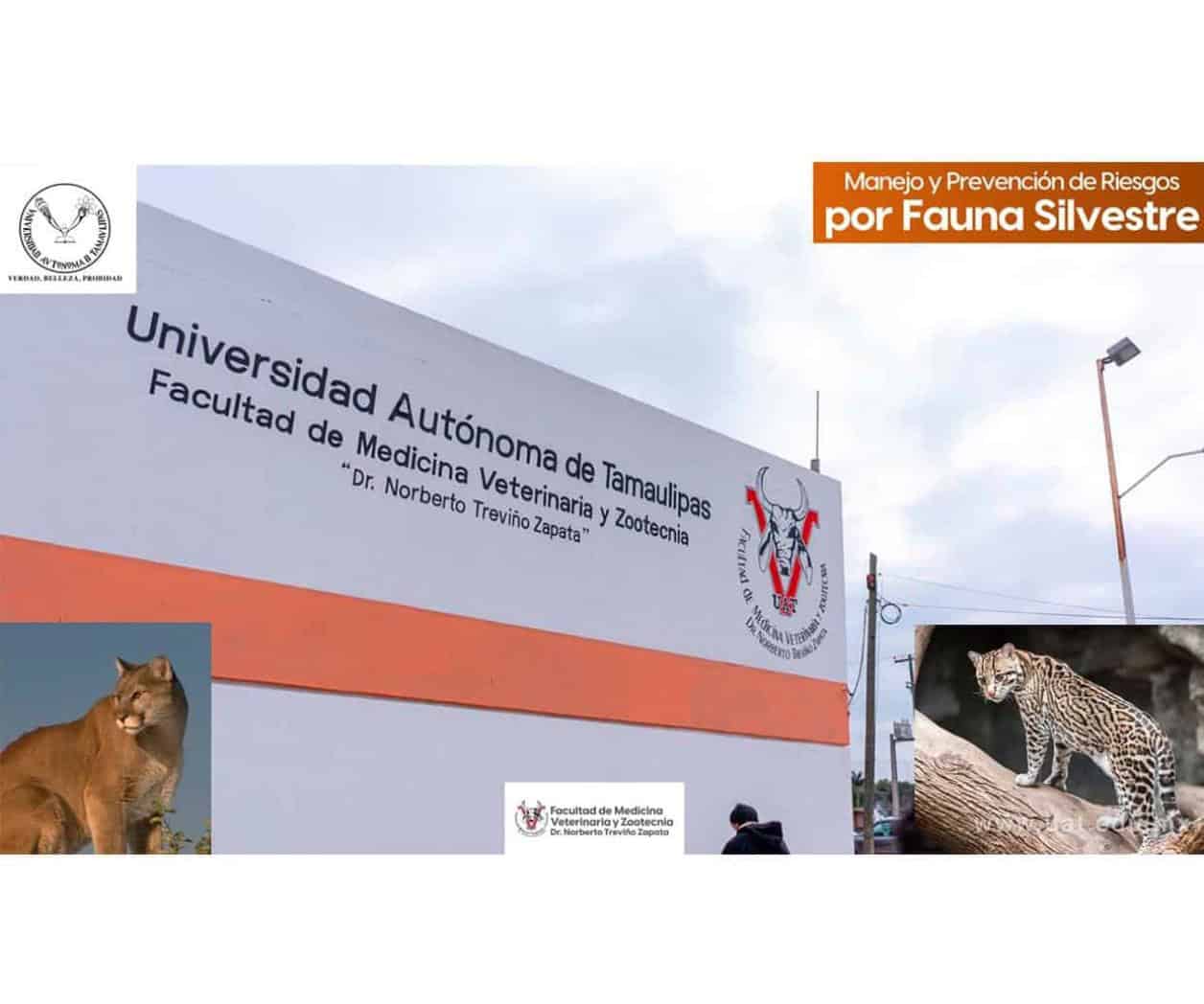 Fomenta la UAT el cuidado de la fauna silvestre