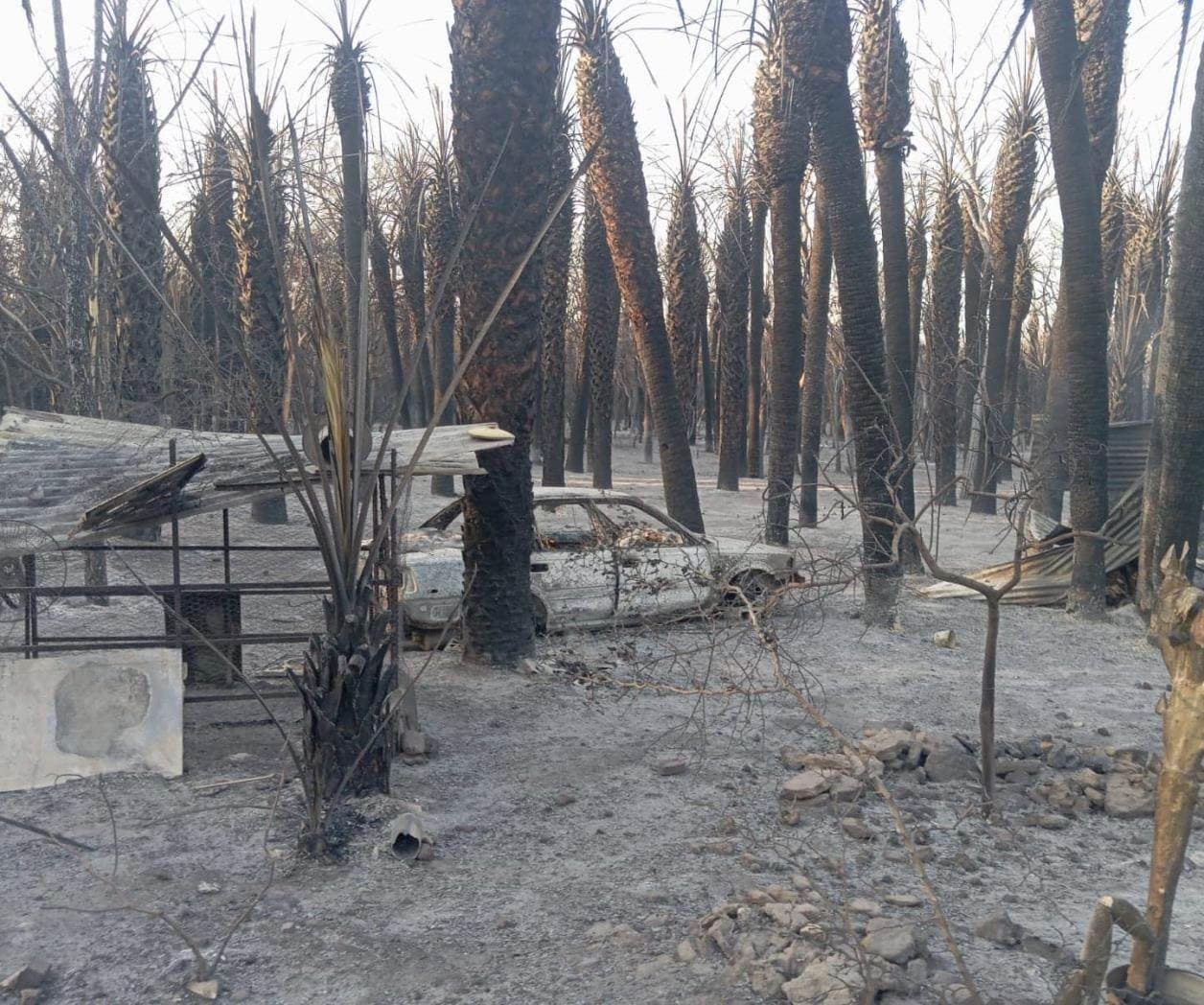 Arrasa fuego con casa y camioneta