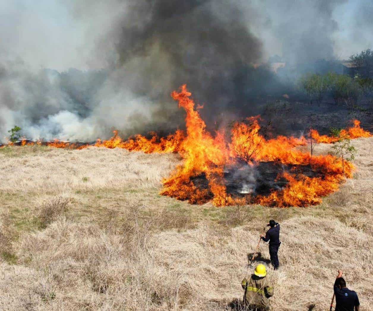 Luchan bomberos contra un incendio