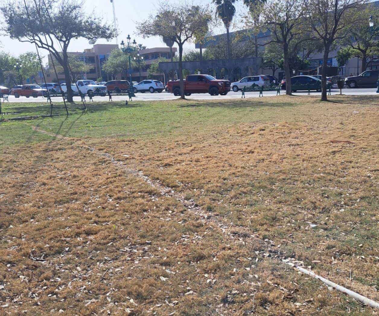 Languidece área verde de plaza La República