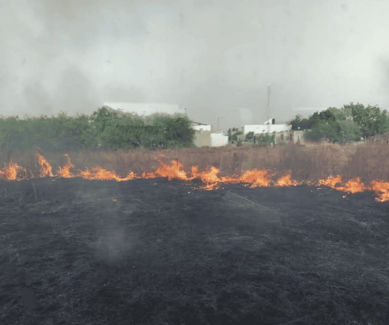 Enfrentan bomberos´ candente´ desafío