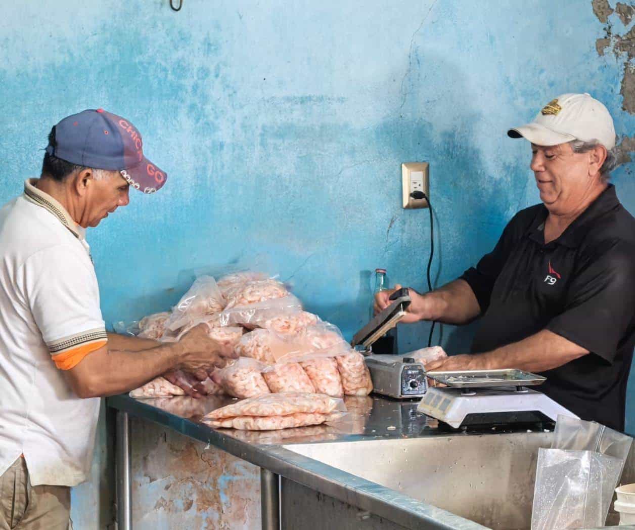 Llega el camarón a 300 el kilogramo