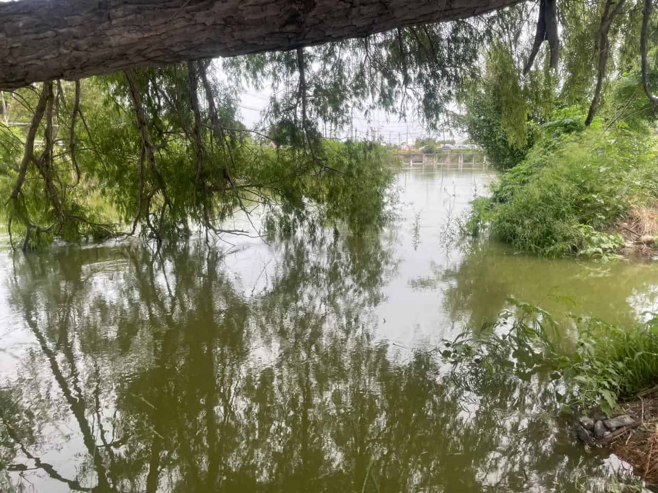 Preocupa se desborde canal Rodhe y anegue diversas colonias del sur