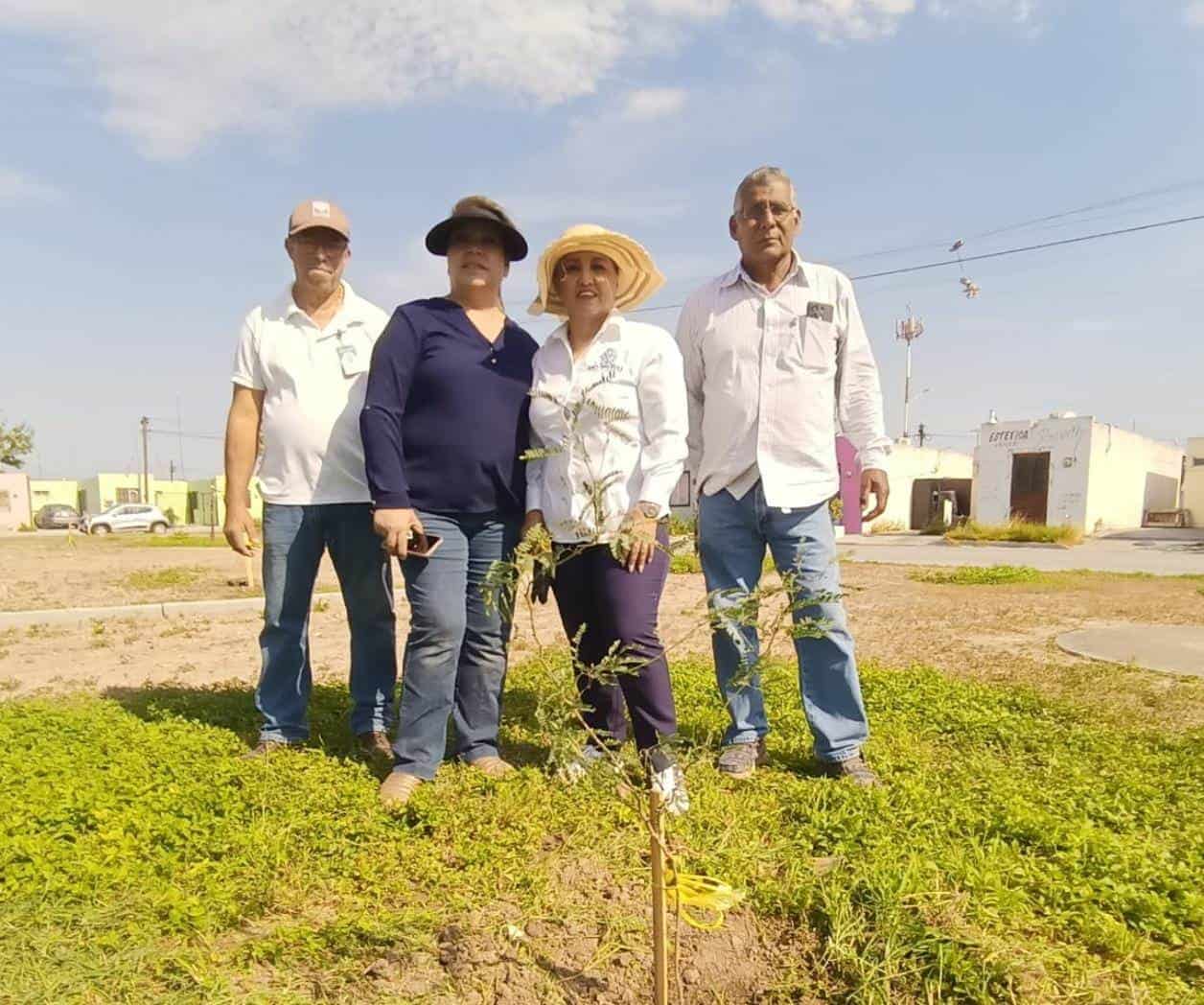 Reforestan áreas verdes en Misiones