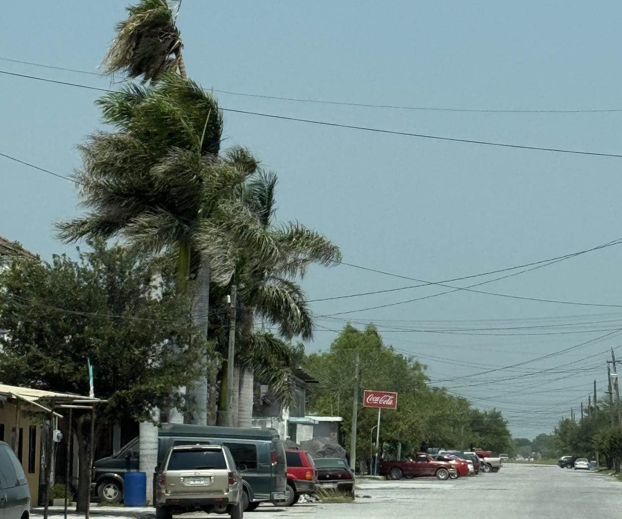 Viento tira ramas en Valle Hermoso