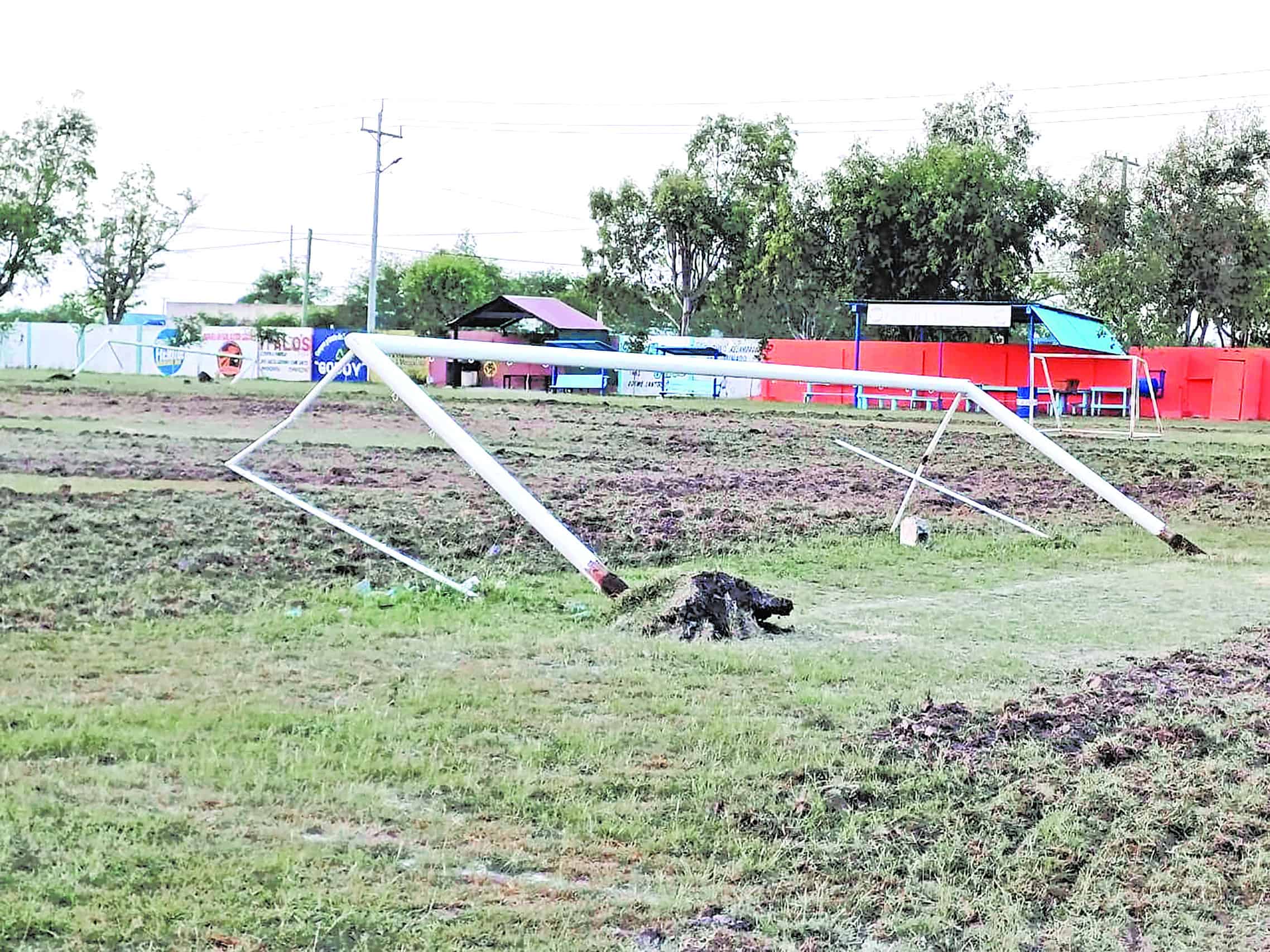 Vandalismo en campo de futbol