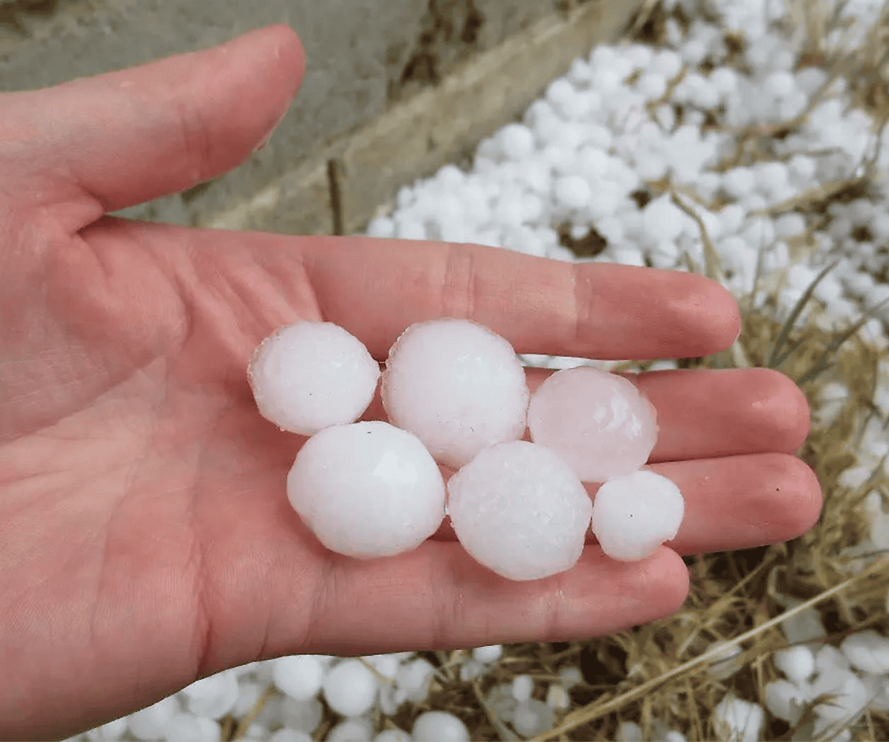 Vienen granizadas