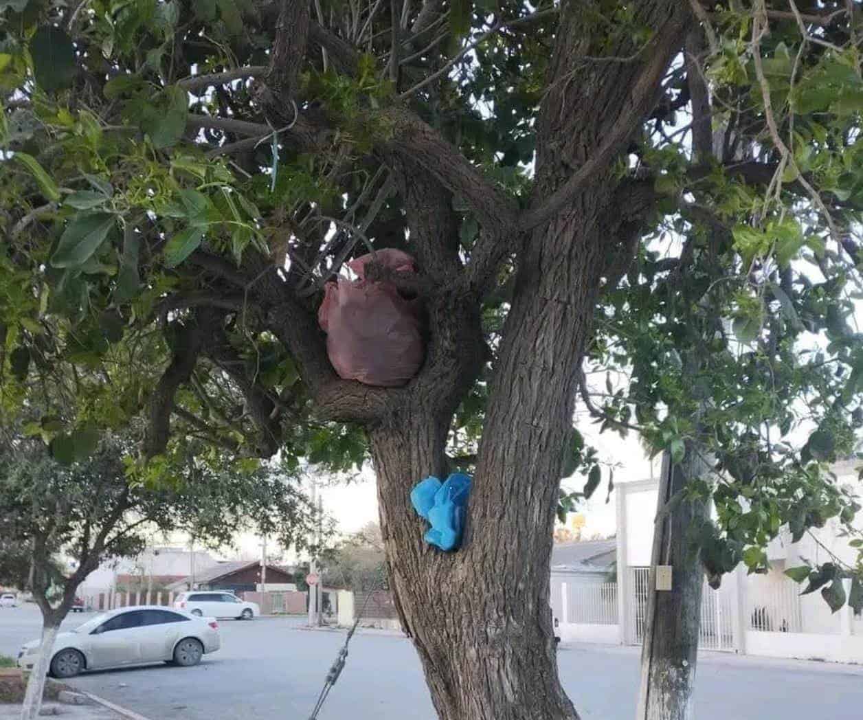 Impulsan ecologistas ´Parques Inclusivos´