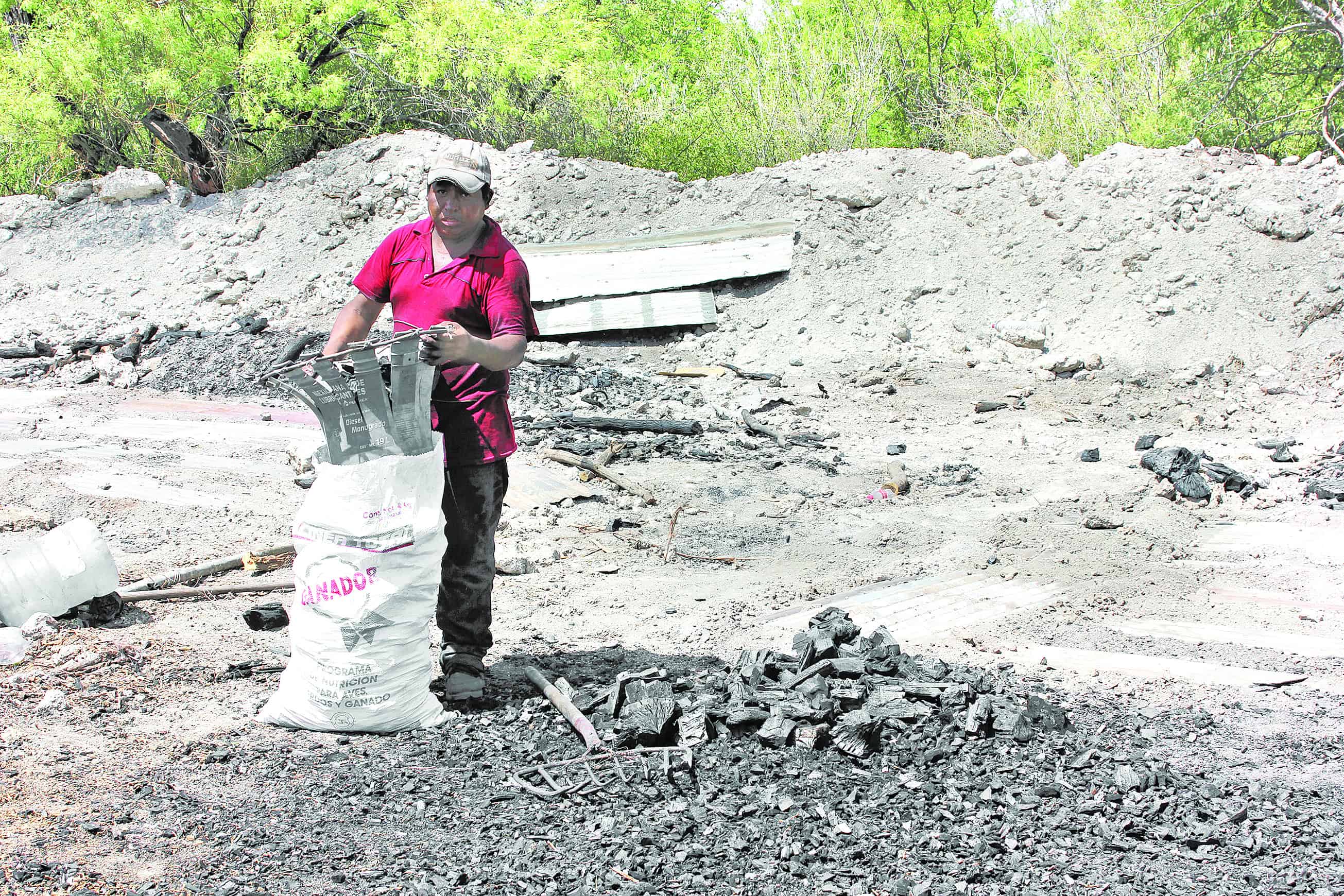Vigilan la producción del carbón para asar