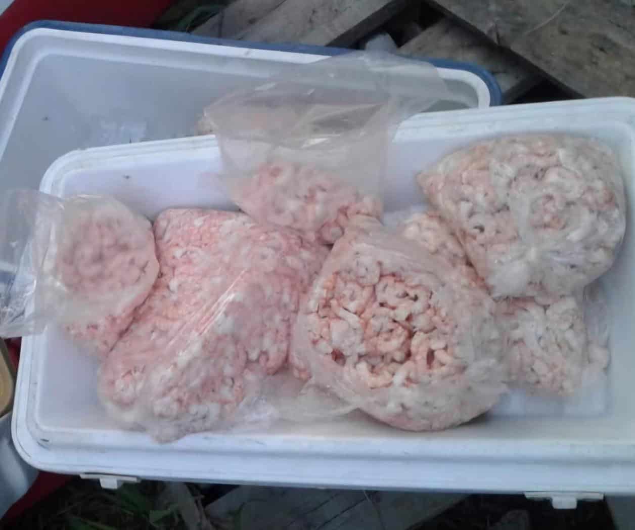 Vigilan venta de mariscos