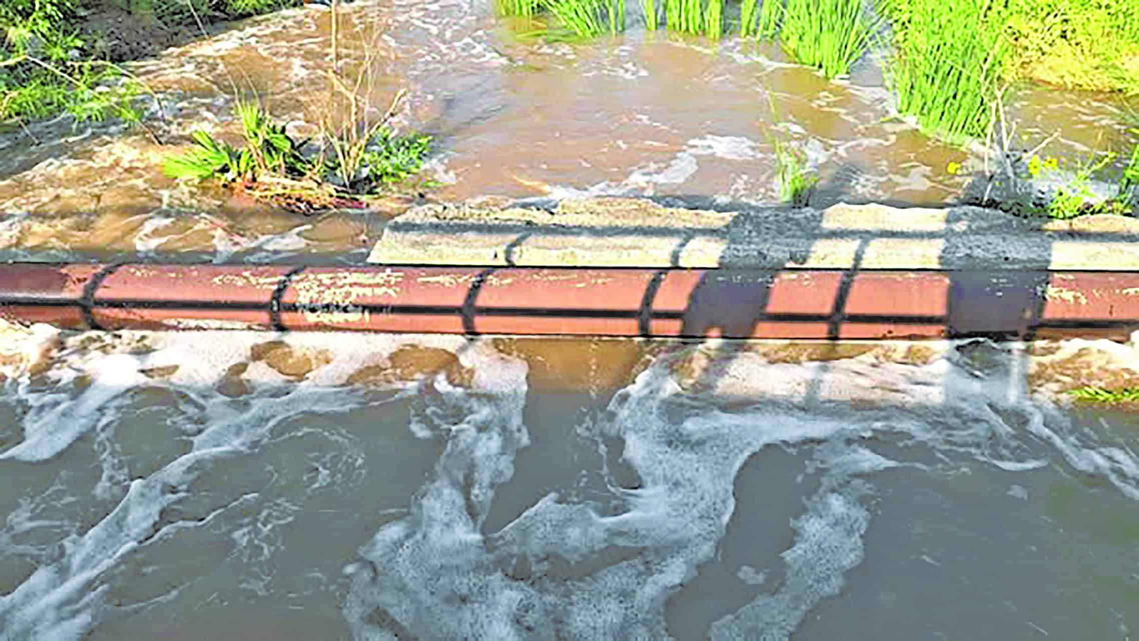 Vigilan escurrimiento del arroyo ‘El Buey’