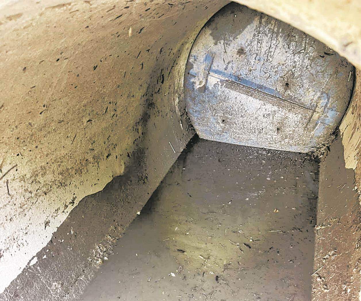 Llaman a cuidar los tanques de basura