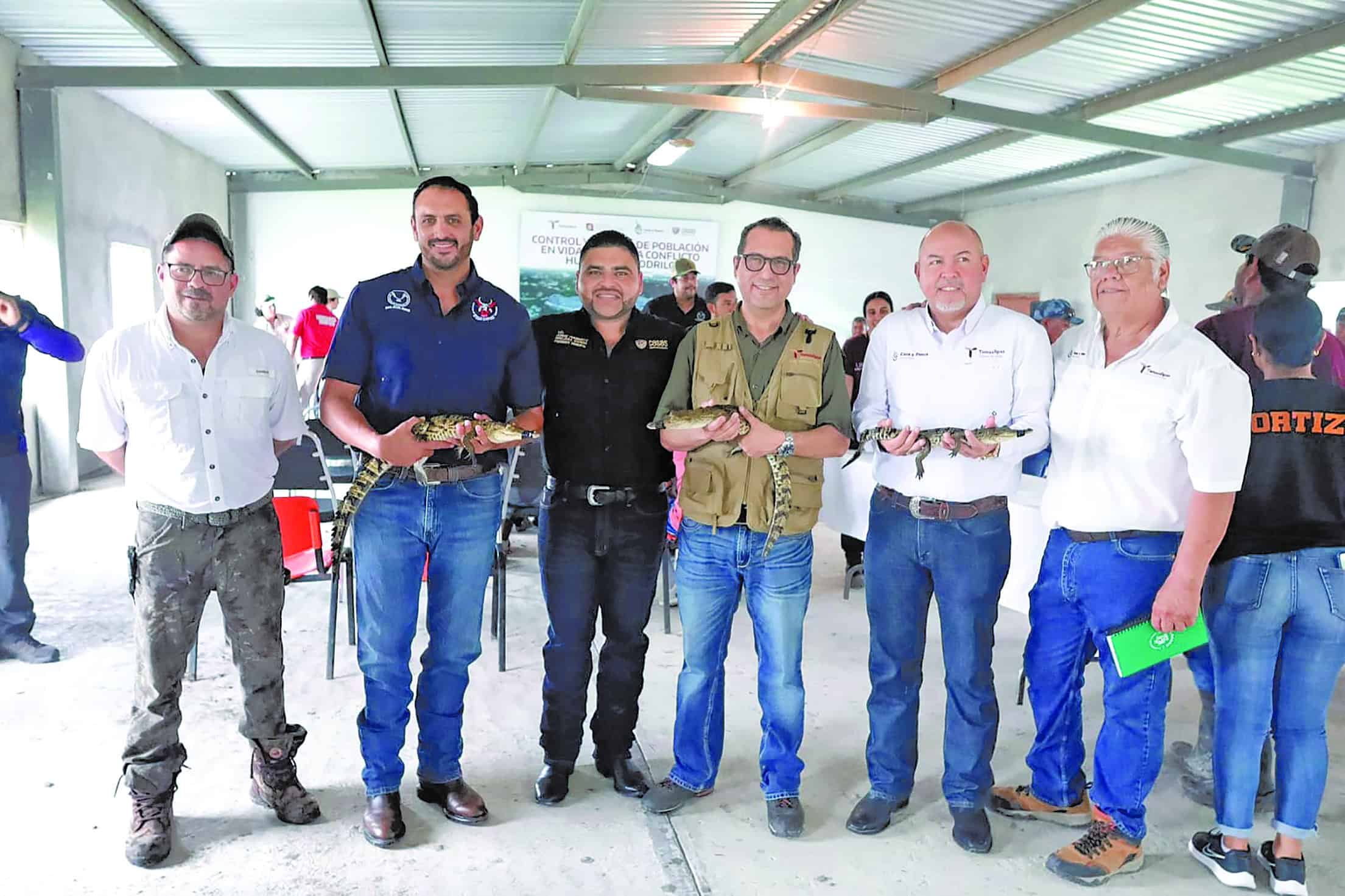 Colabora la UAT en la conservación y control del cocodrilo morelet