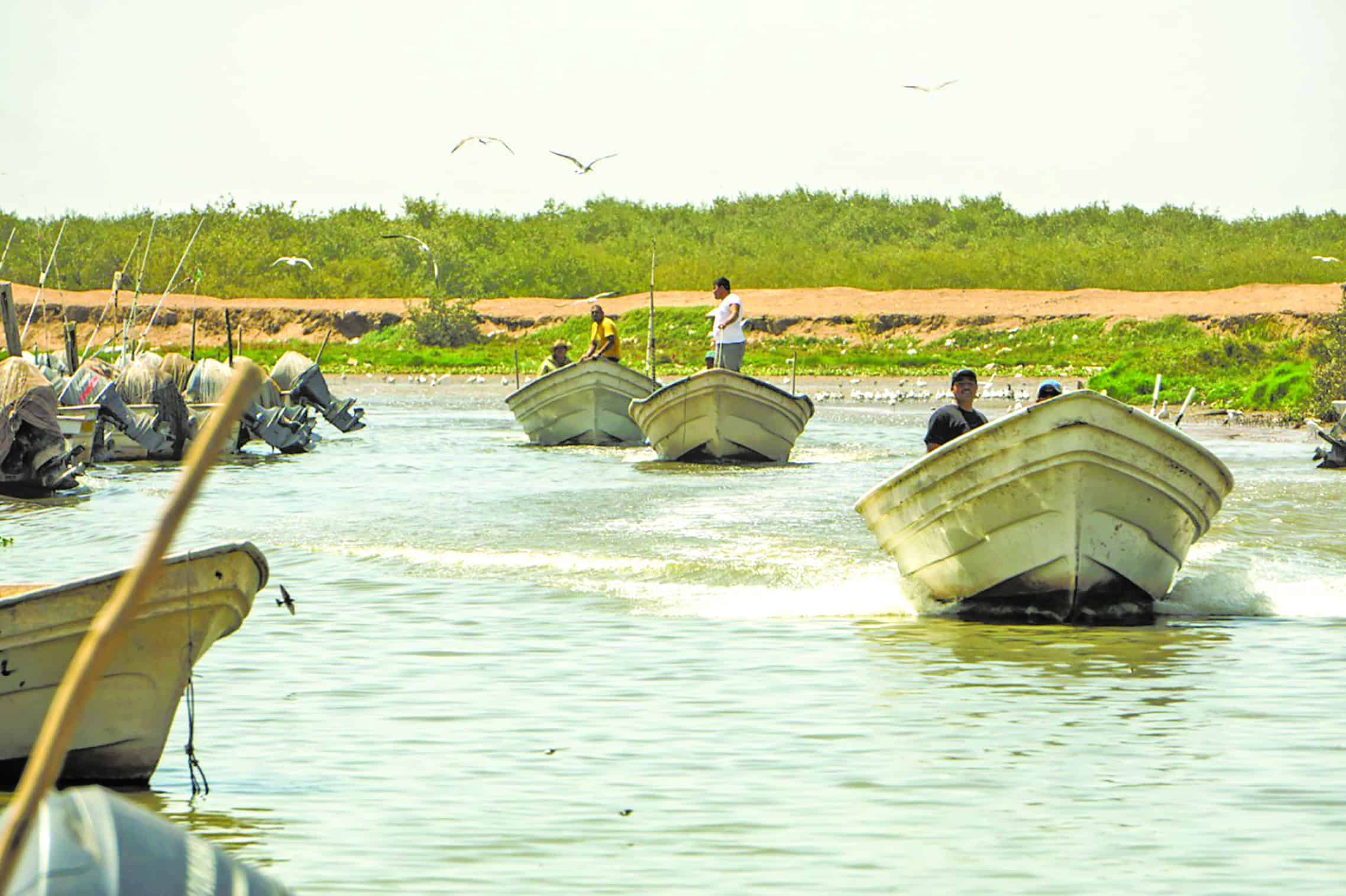 Pesca en crisis