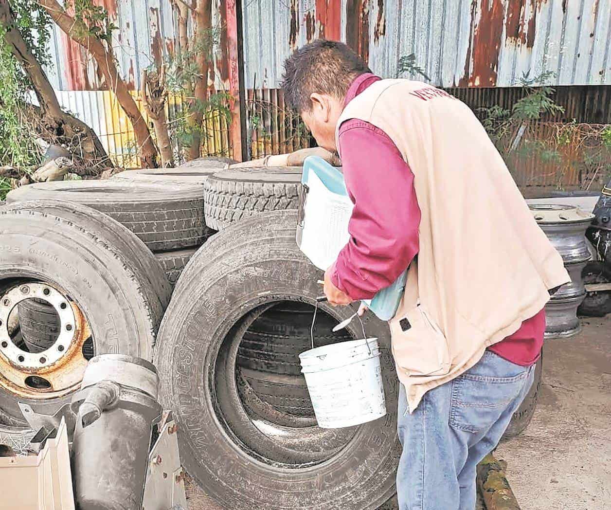 Avanzan acciones contra el dengue
