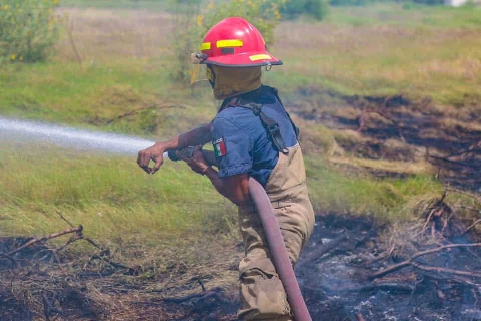 Alarma fuego en el Álamo