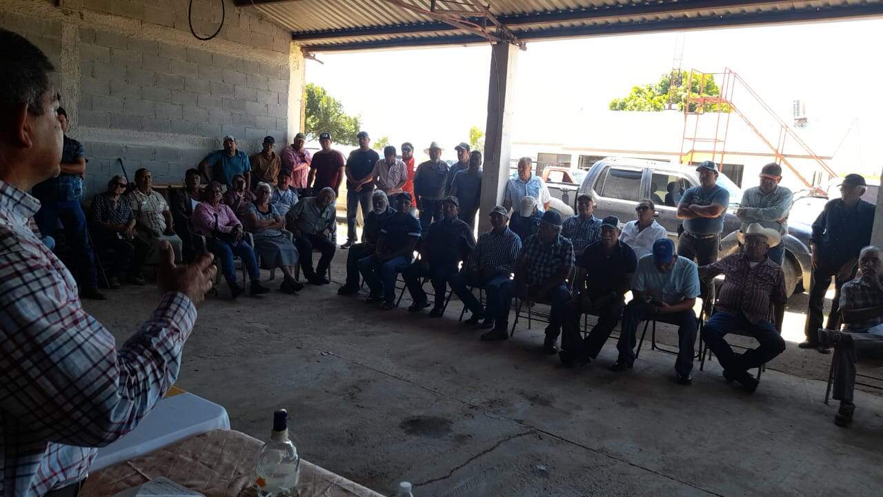 Mantendrán defensa de sus cosechas los productores de sorgo
