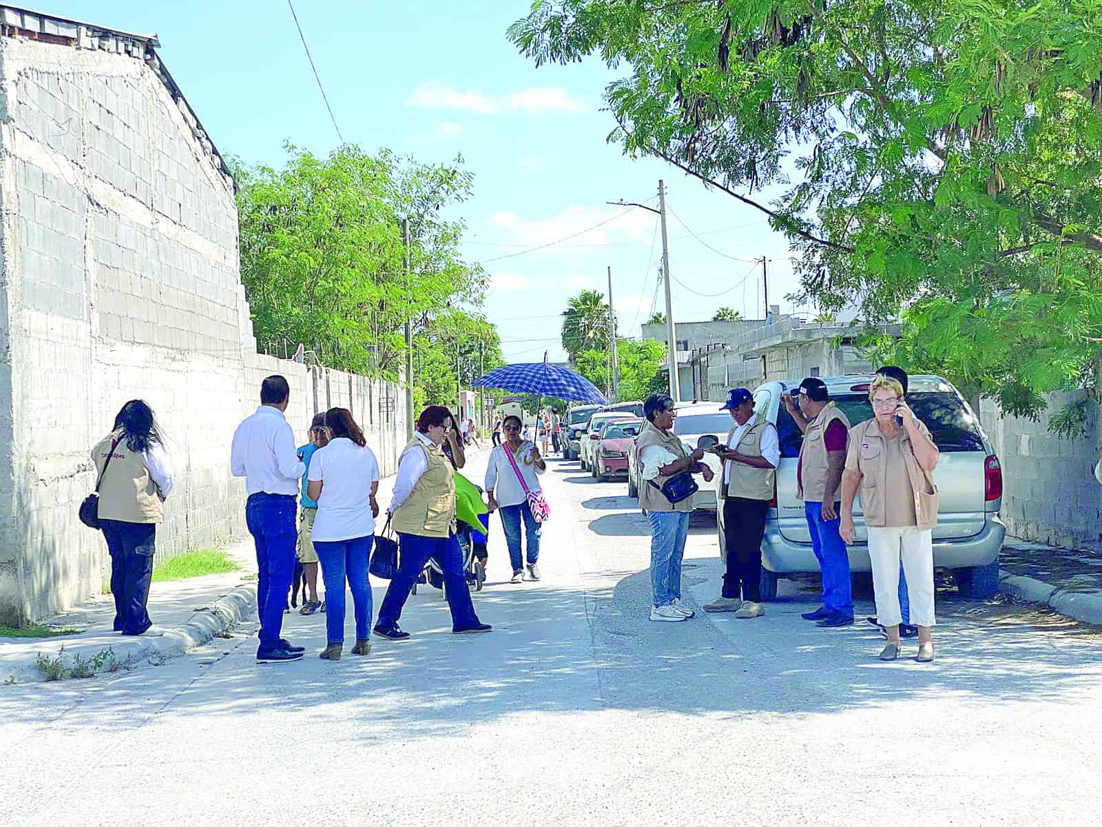 Combate sector Salud una plaga de arañas