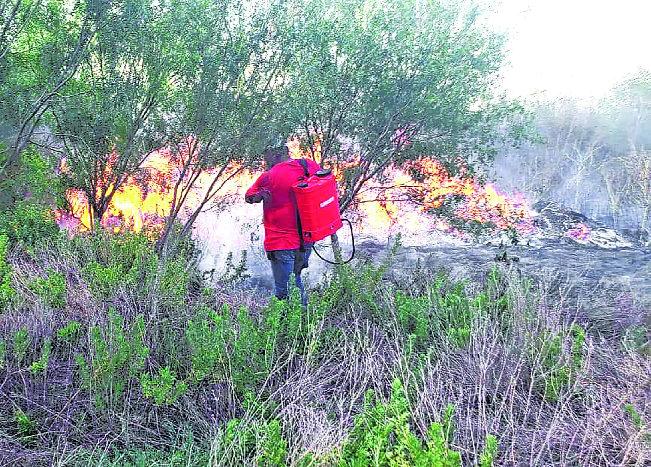Surgen incendios en pastizales