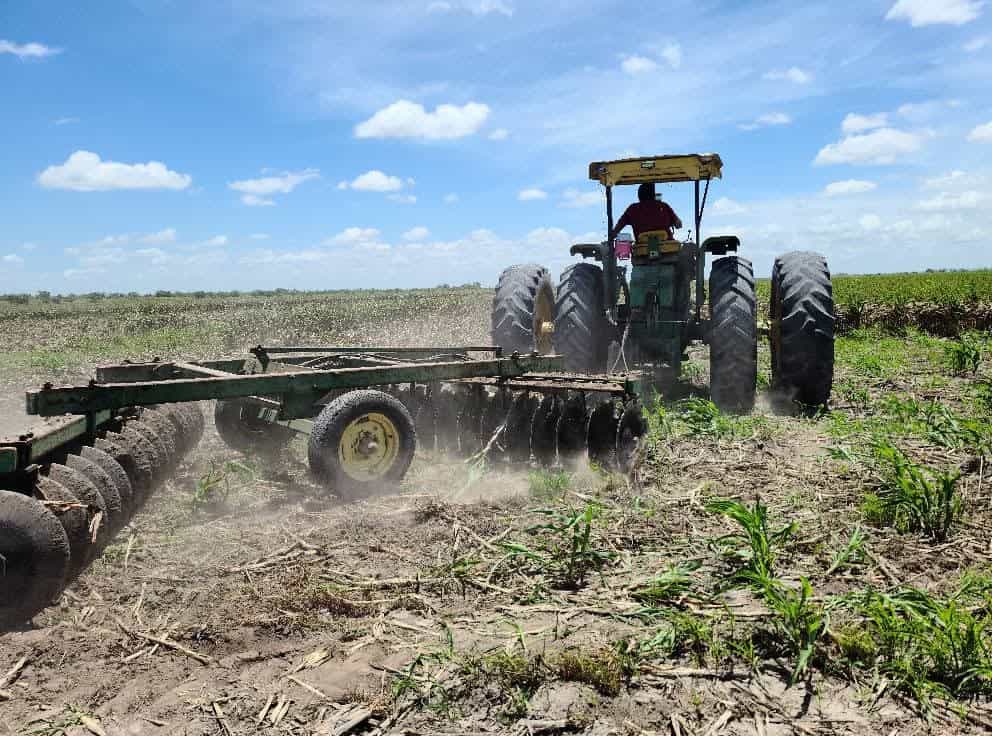 Capacitan a productores para generar fertilizantes