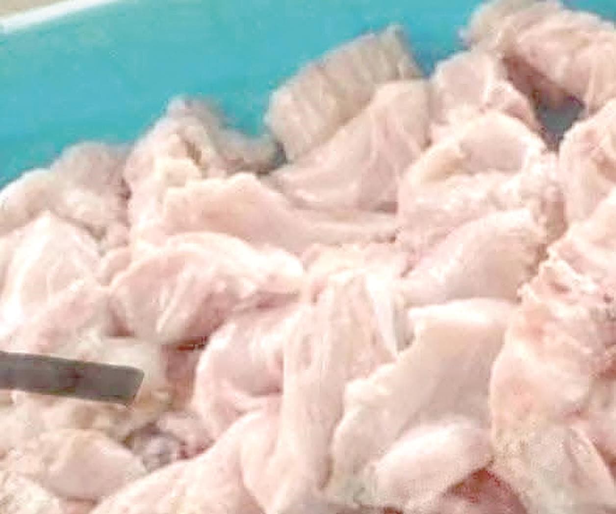 Reclaman venta ilegal de carne de cocodrilo