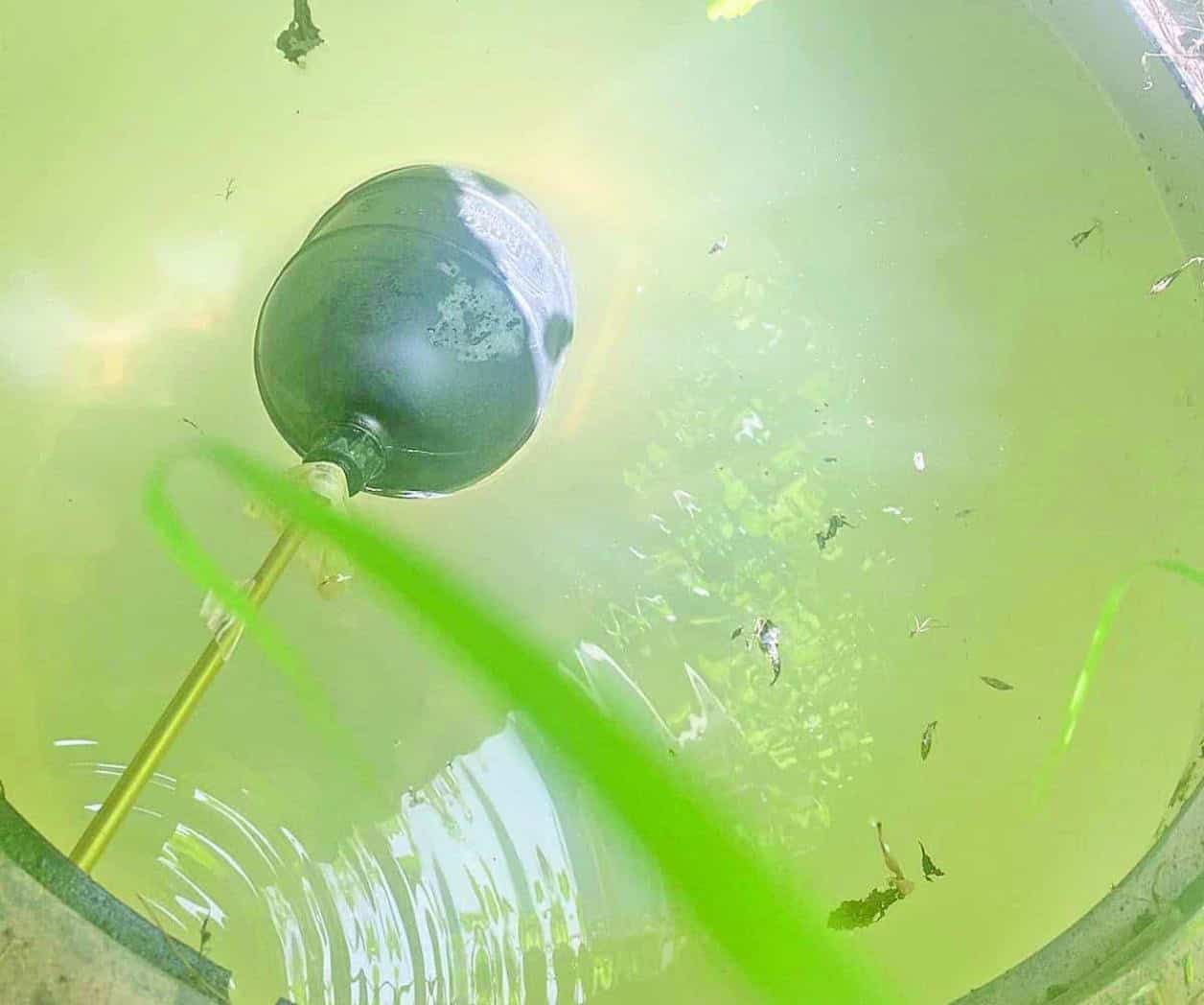Reportan algunas colonias una semana sin agua potable