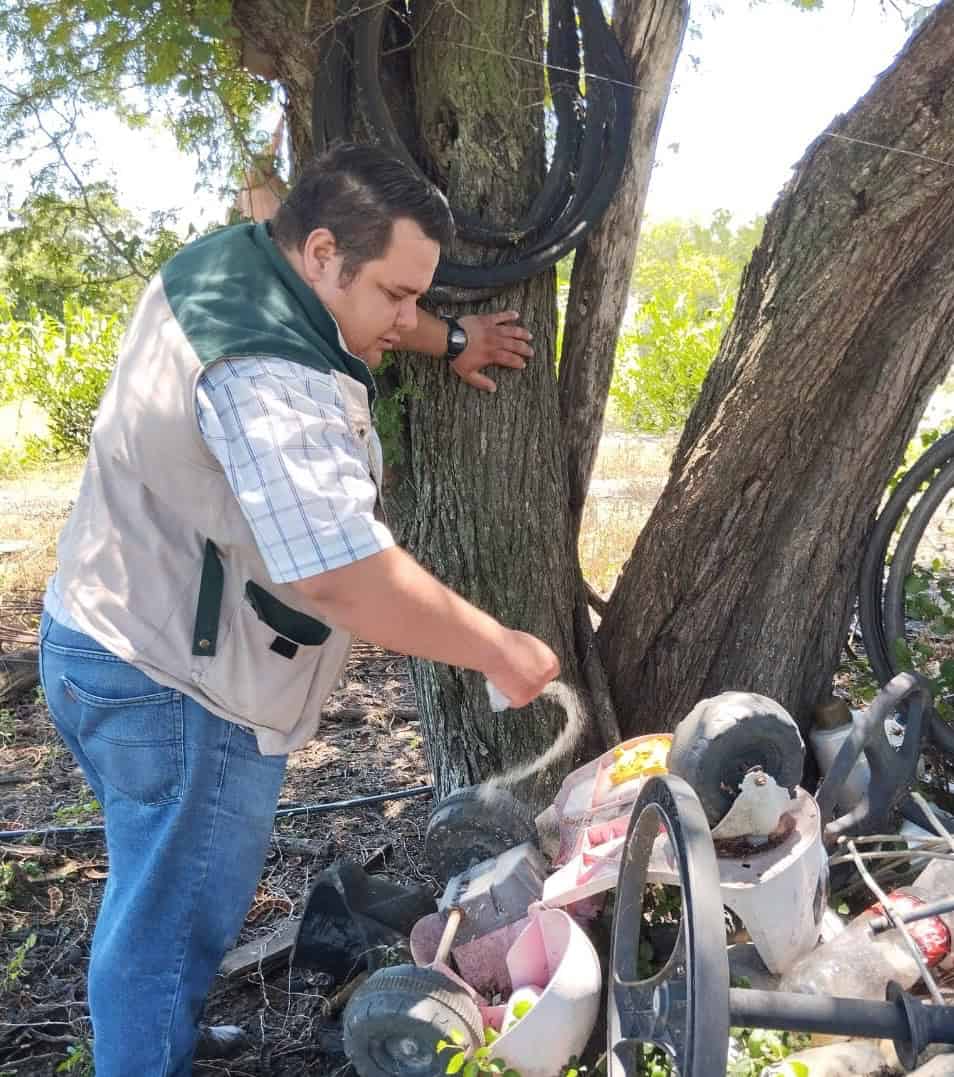 Aumenta el calor riesgo de dengue