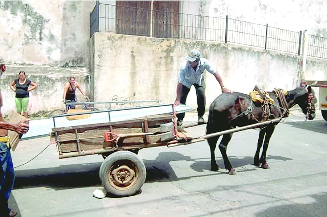 Canjearán caballos por motos para carretoneros