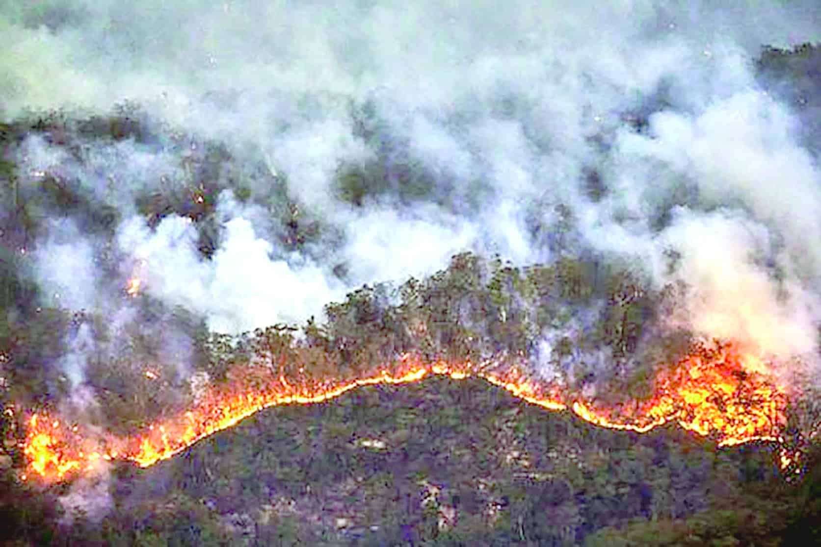 Activan multas por incendios forestales