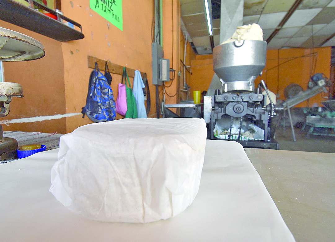 Mantienen productores precio del kilo de tortilla
