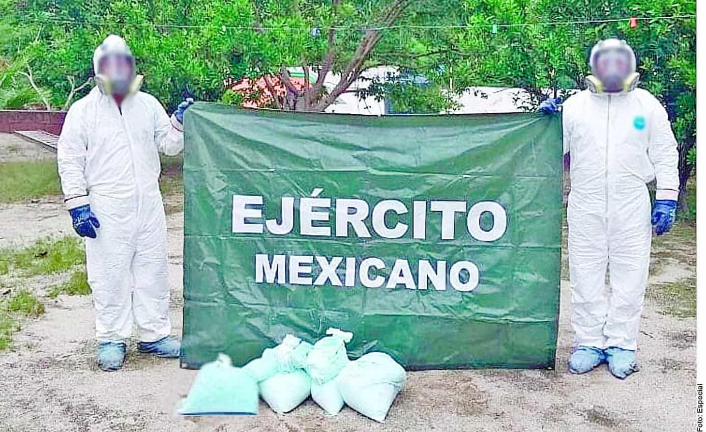 Decomisan 349 mdp en droga en Badiraguato